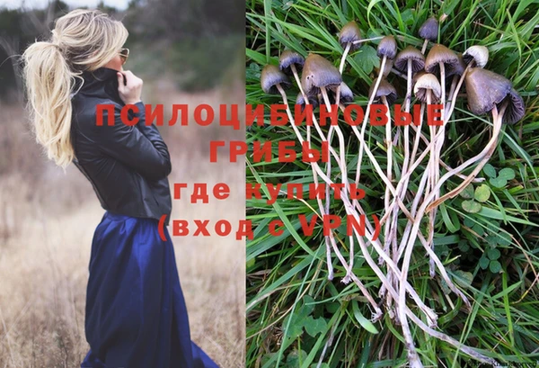 марки nbome Алексин