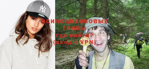 ешки Алзамай