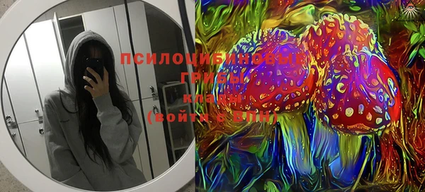 индика Абаза