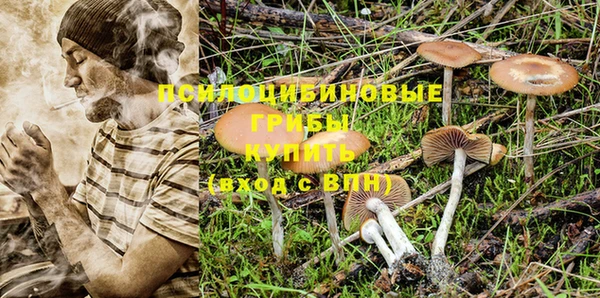 ешки Алзамай