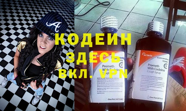 индика Абаза