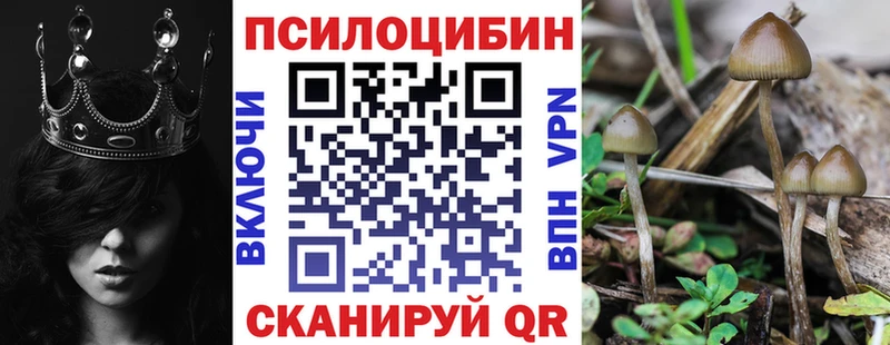 Галлюциногенные грибы мицелий  OMG сайт  Зарайск 
